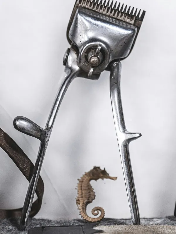 Antique manual hair clipper on a white background